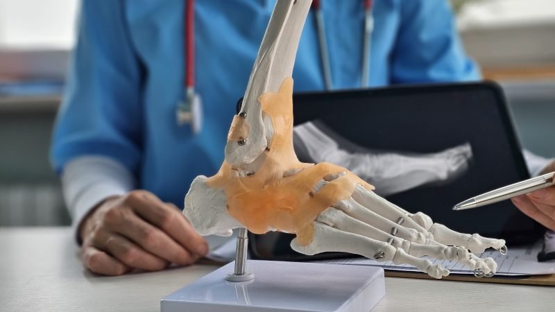 Medical professional demonstrating a foot and ankle anatomical model during a consultation at a healthcare facility